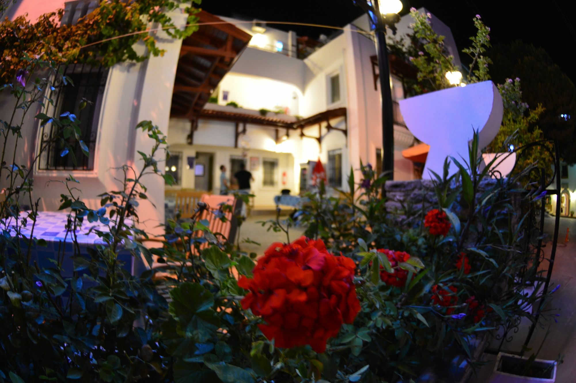 Istankoy Butik Pansiyon Bodrum Zewnętrze zdjęcie